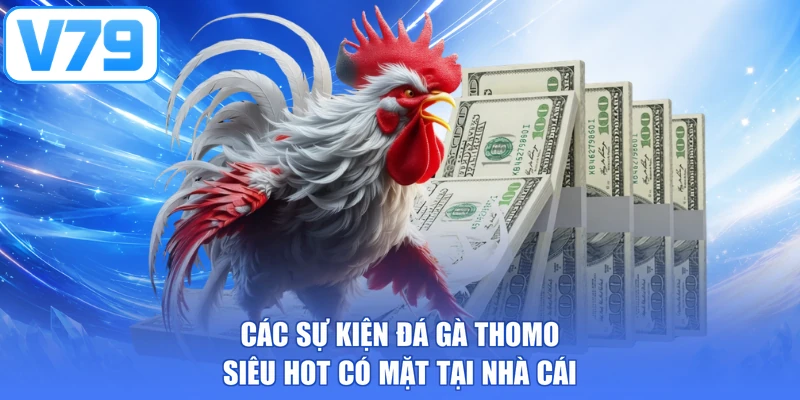 Các sự kiện đá gà Thomo siêu hot có mặt tại nhà cái