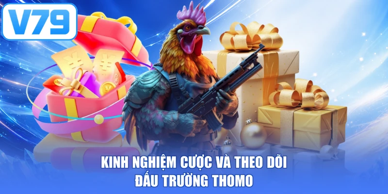 Kinh nghiệm cược và theo dõi đấu trường Thomo